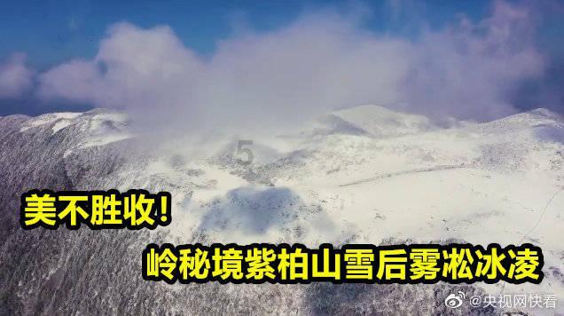 芭比公主四元素装