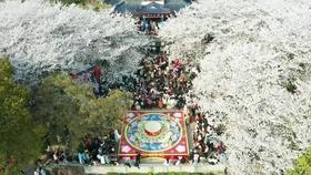 场上练兵