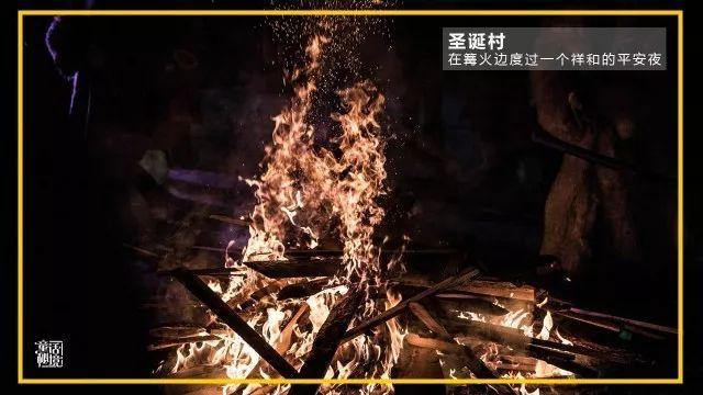 武磊5年来首次替补,你支持扬帅的决定吗