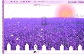 沈阳的扬灰层在几楼游戏画面