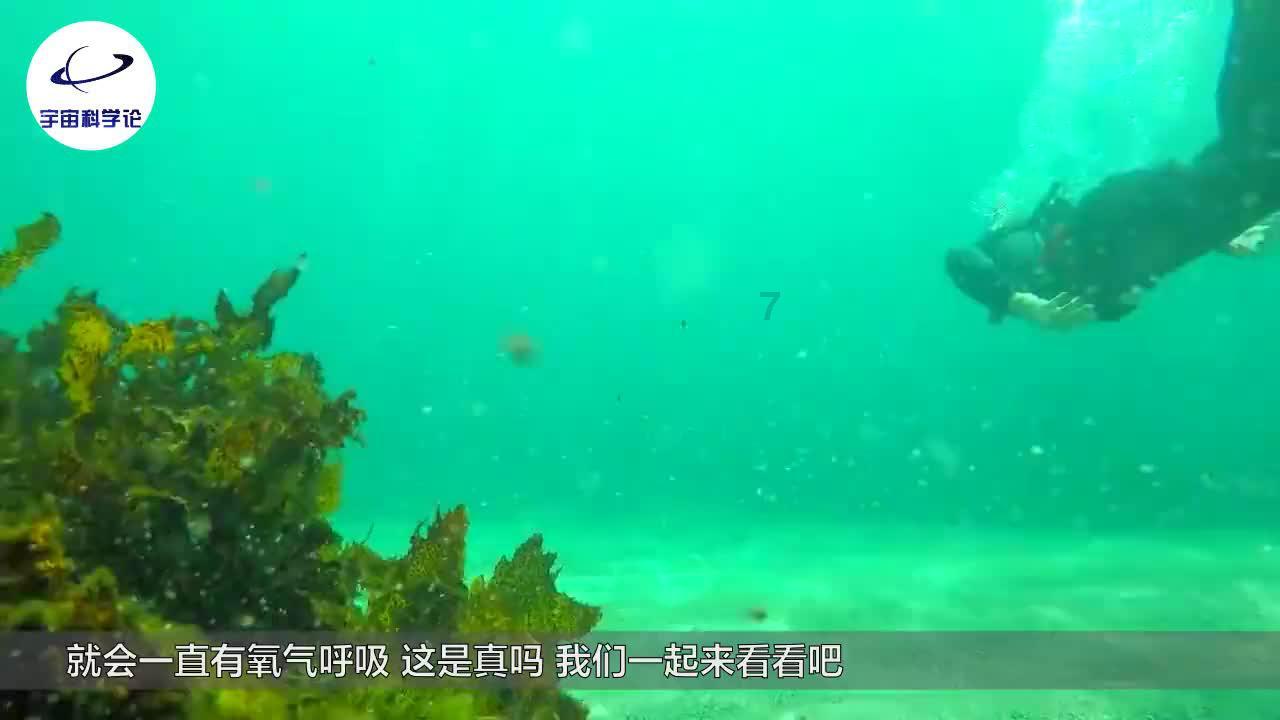伟而特和瑜伽