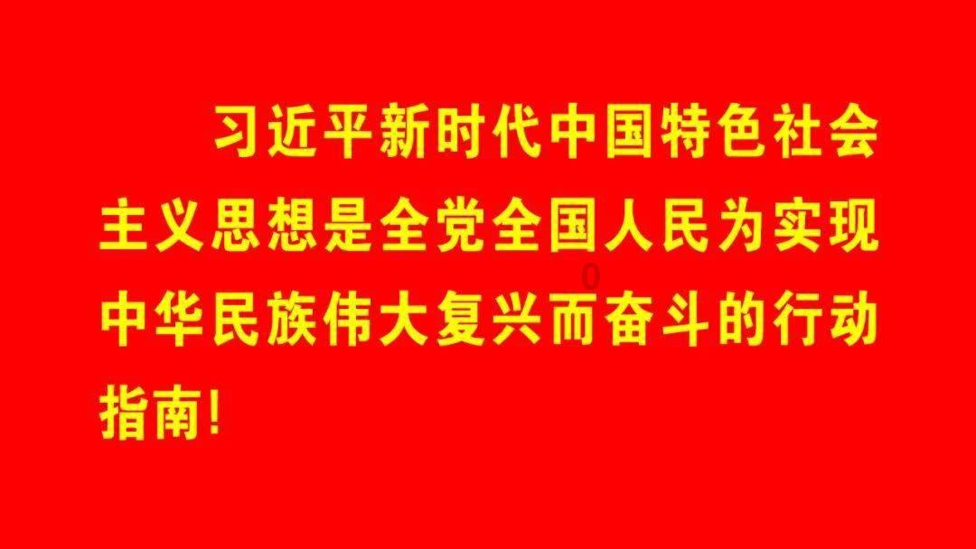 熊仔拼图