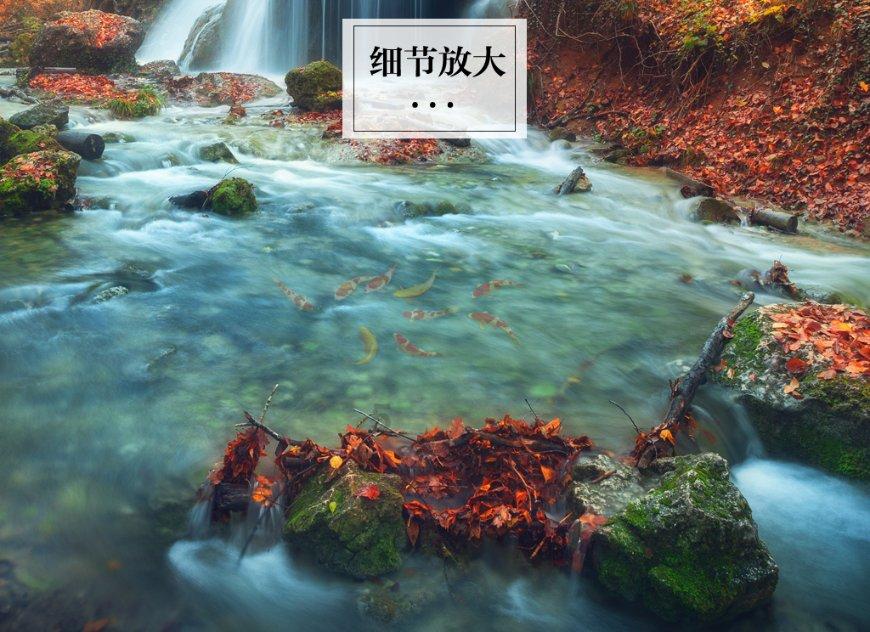 注意躲避