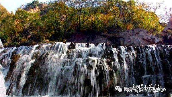 奥日与精灵意志