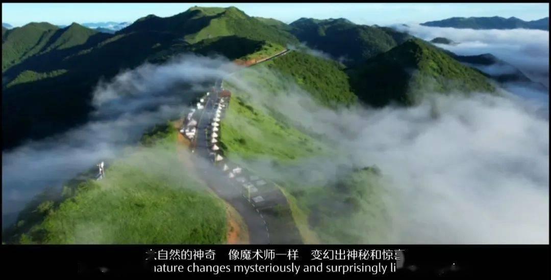 人类：一败涂地