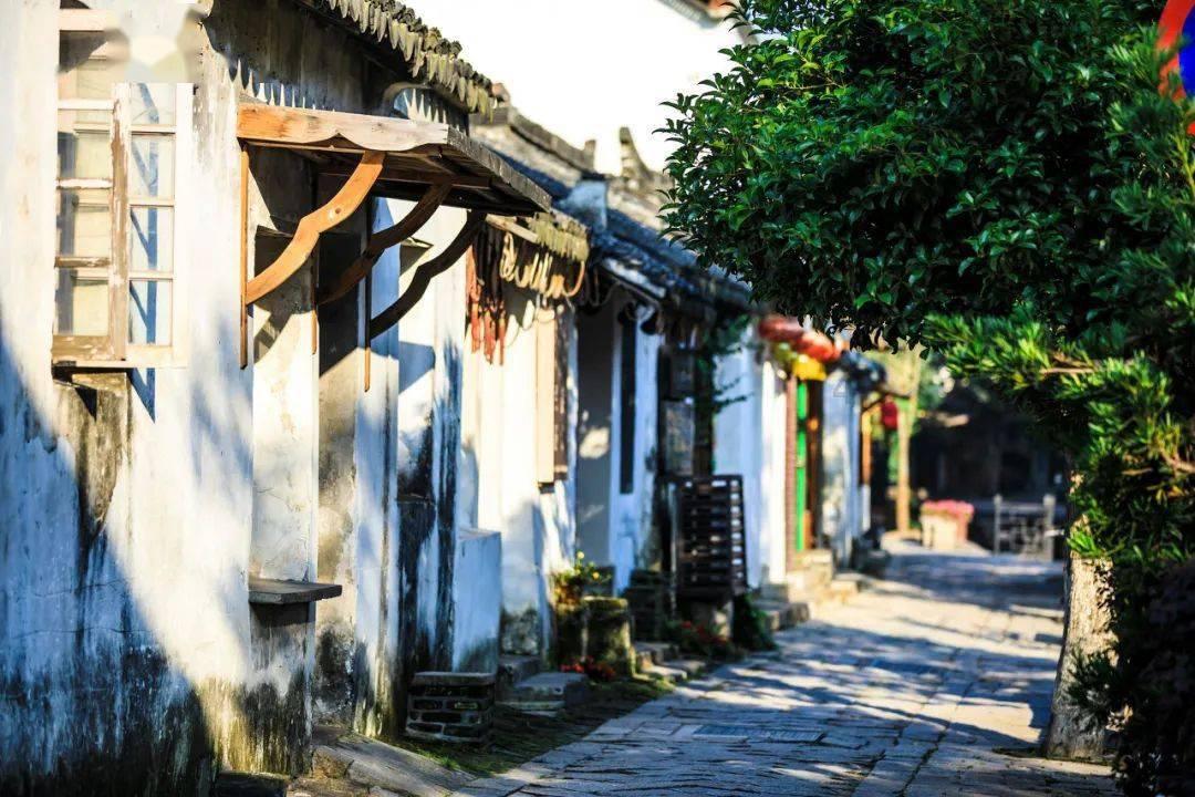 拓荆科技：预计2023年度净利润同比增长62%~95%