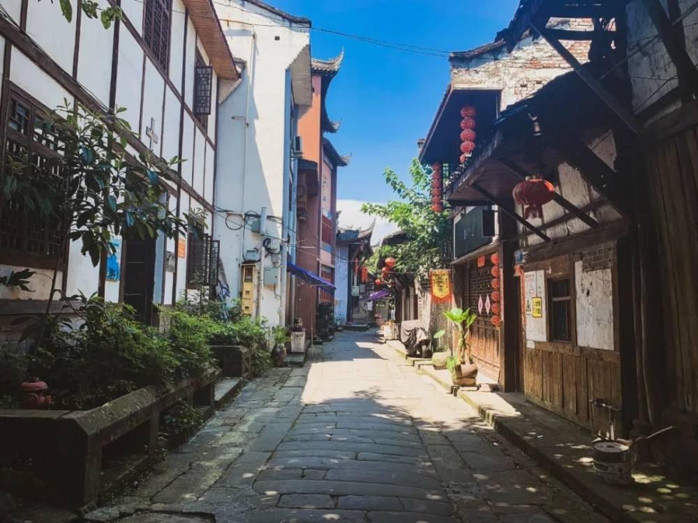 逃离橡子树种植地