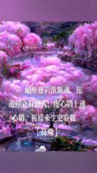 霞浦迎来第一场雪!今夜小雪!部分列车停运!